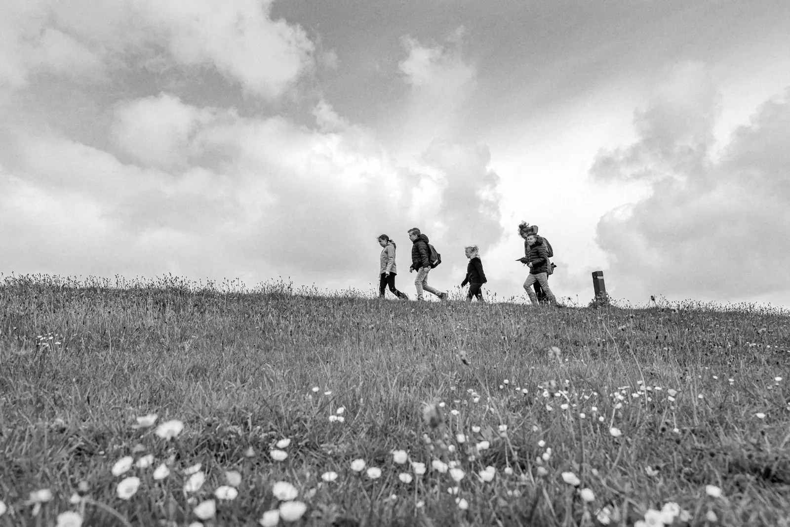 Leerlingen lopen over de zeedijk tijdens het soundscape-project op het Wad